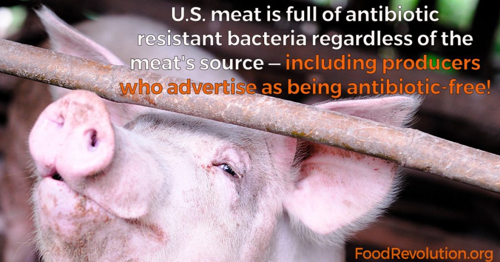 antibiotics in meat production