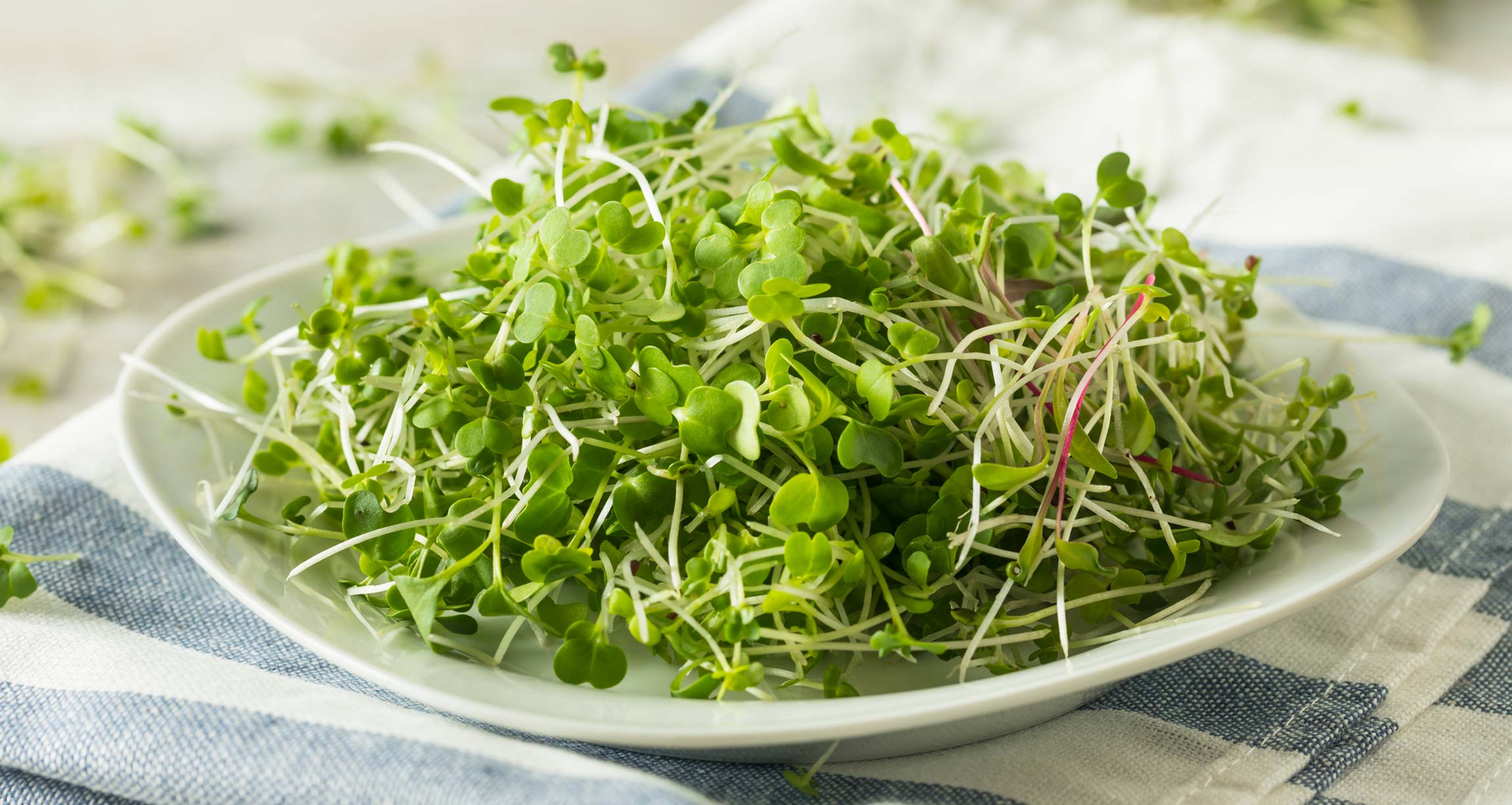 plate of sprouts