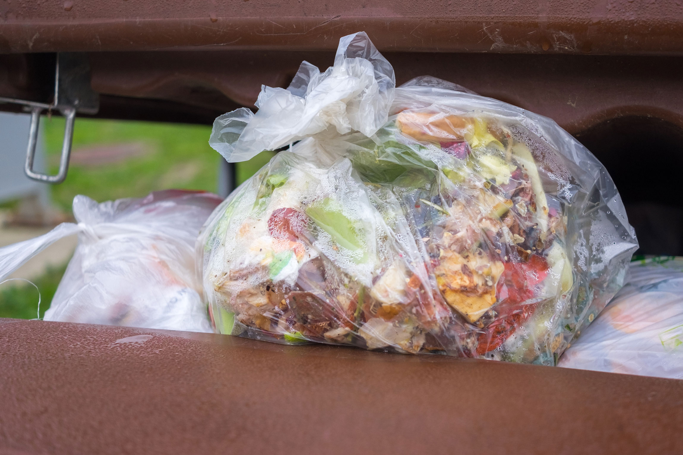 Food waste and the environment
