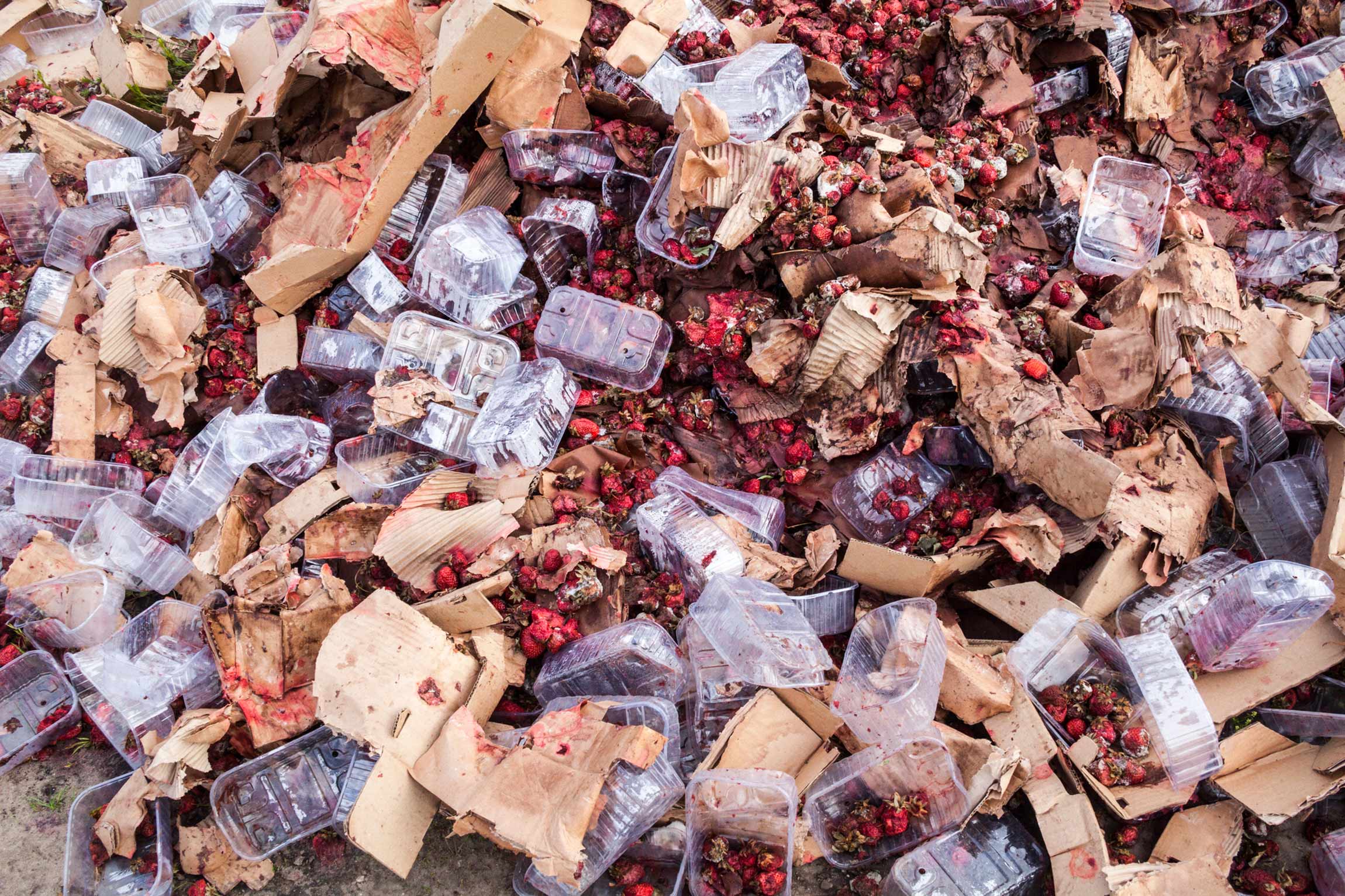 Food waste: 17 ways to help reduce food waste