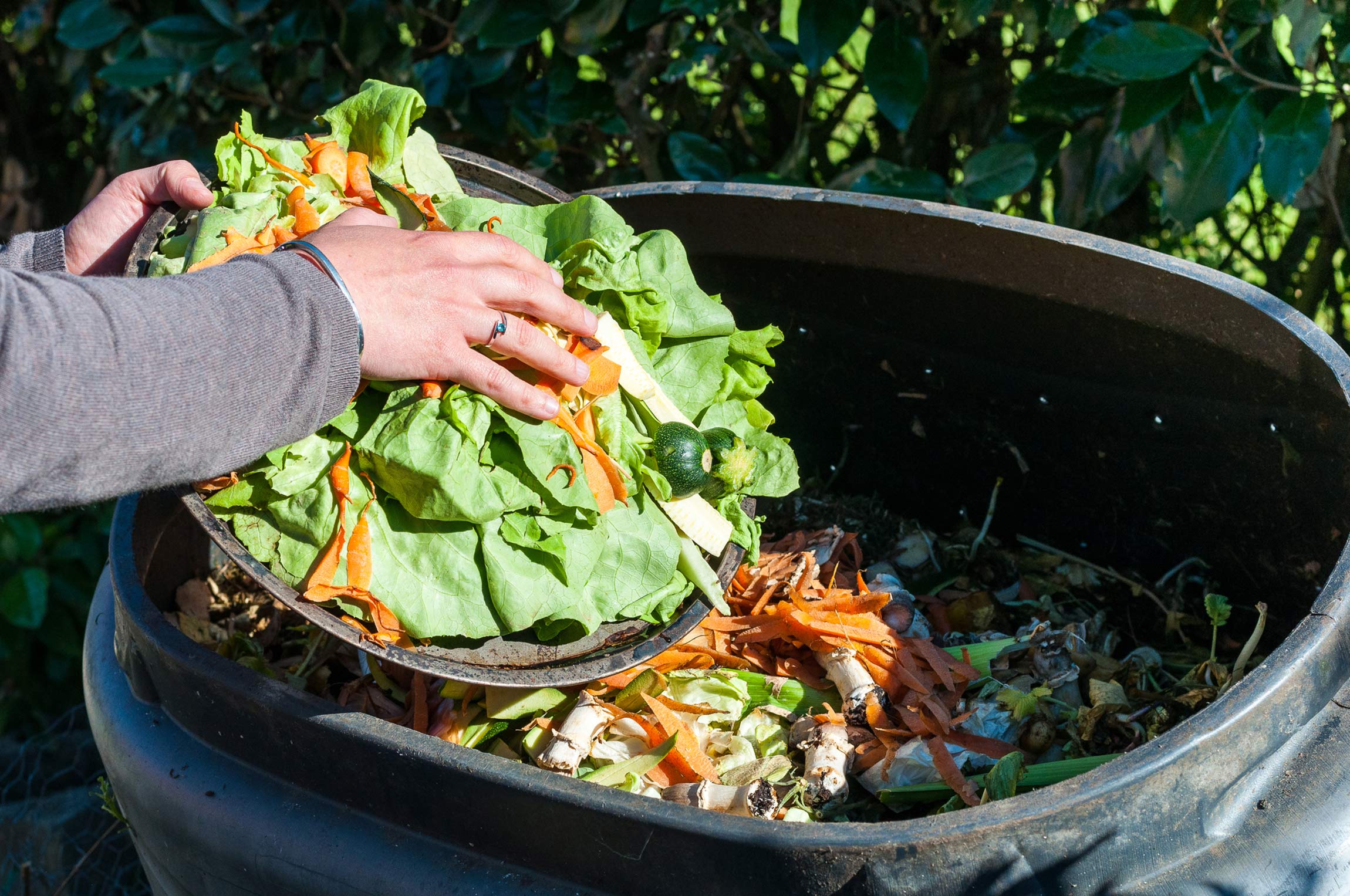 Throwing away produce scraps for compost