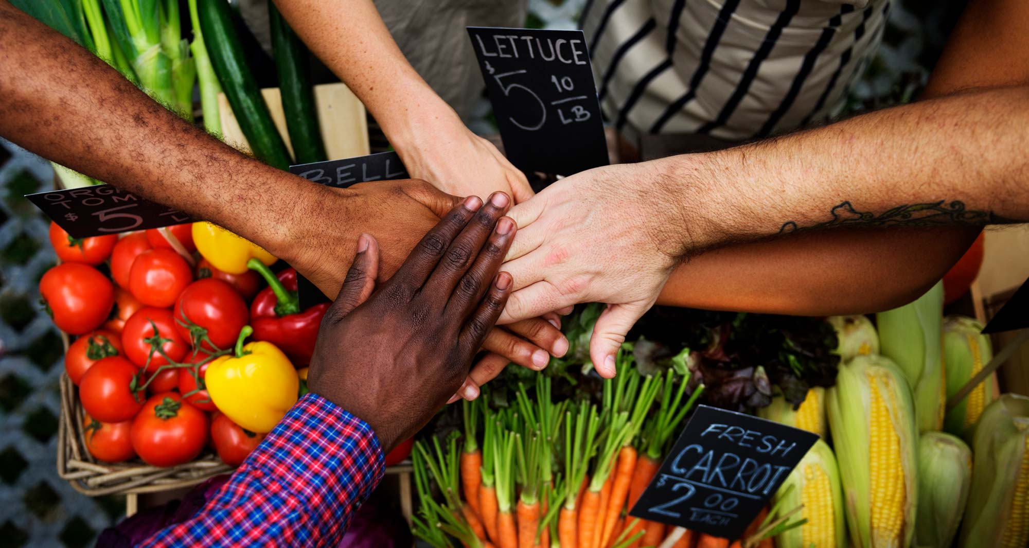 The Food Revolution Summit is for everyone. 