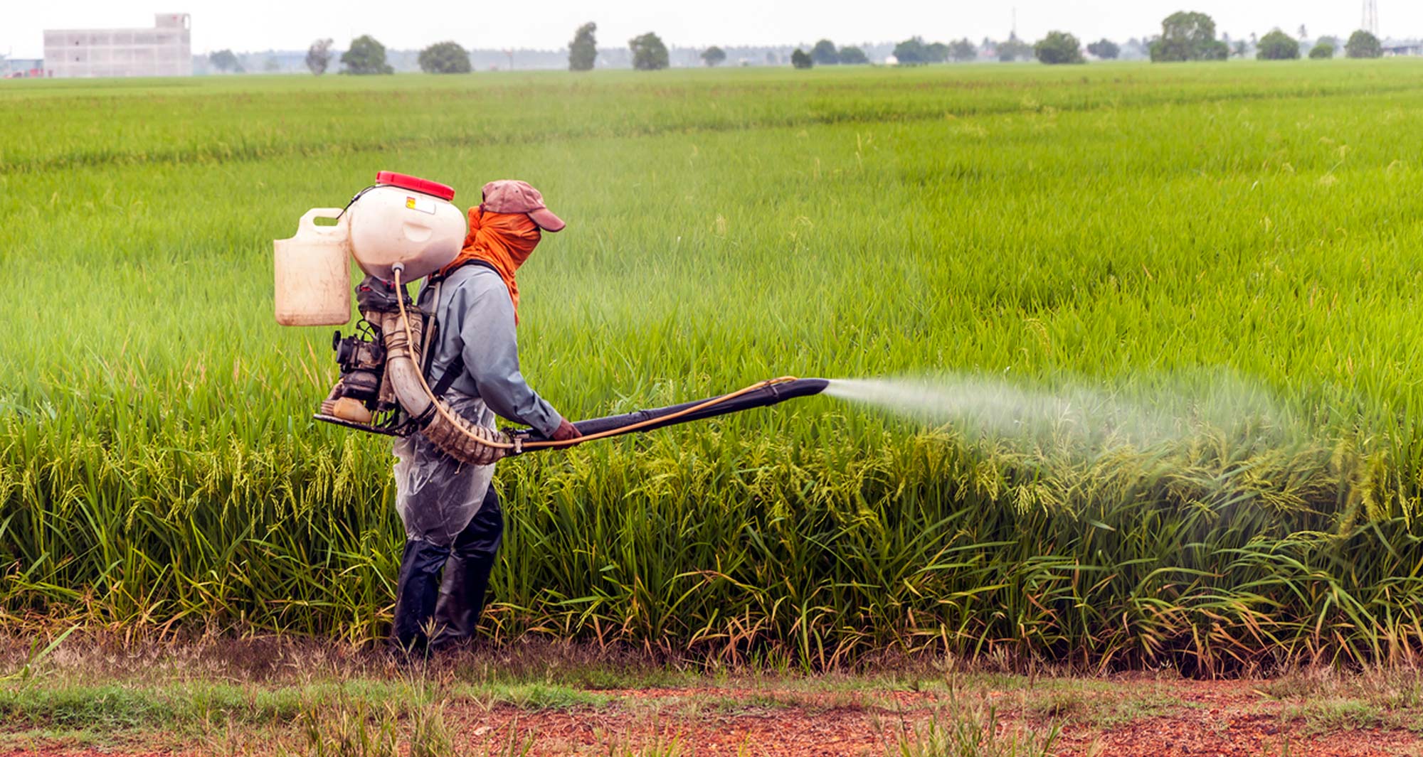 The Food Revolution Summit discusses toxic chemicals used on food. 