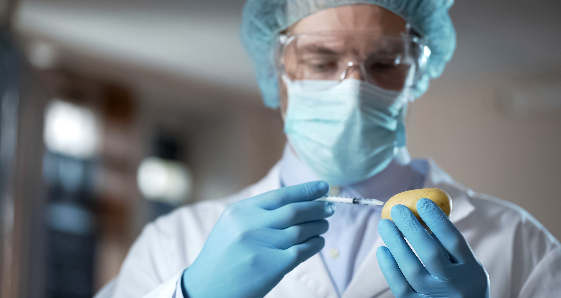 Scientist injecting a potato