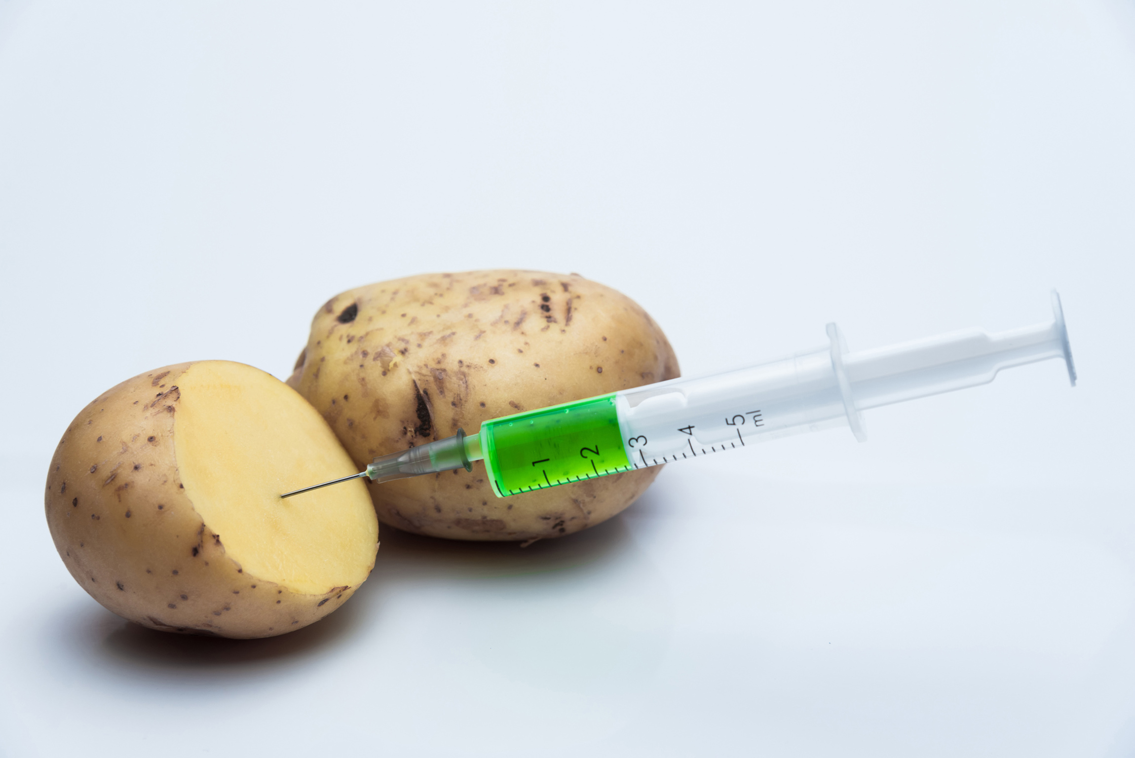 GMO potatoes: are they safe?