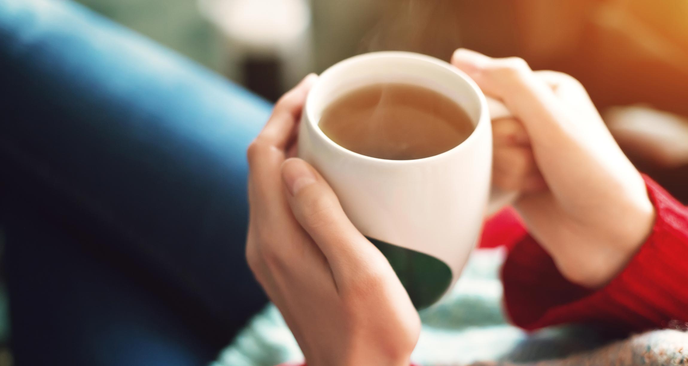 hands holding a mug