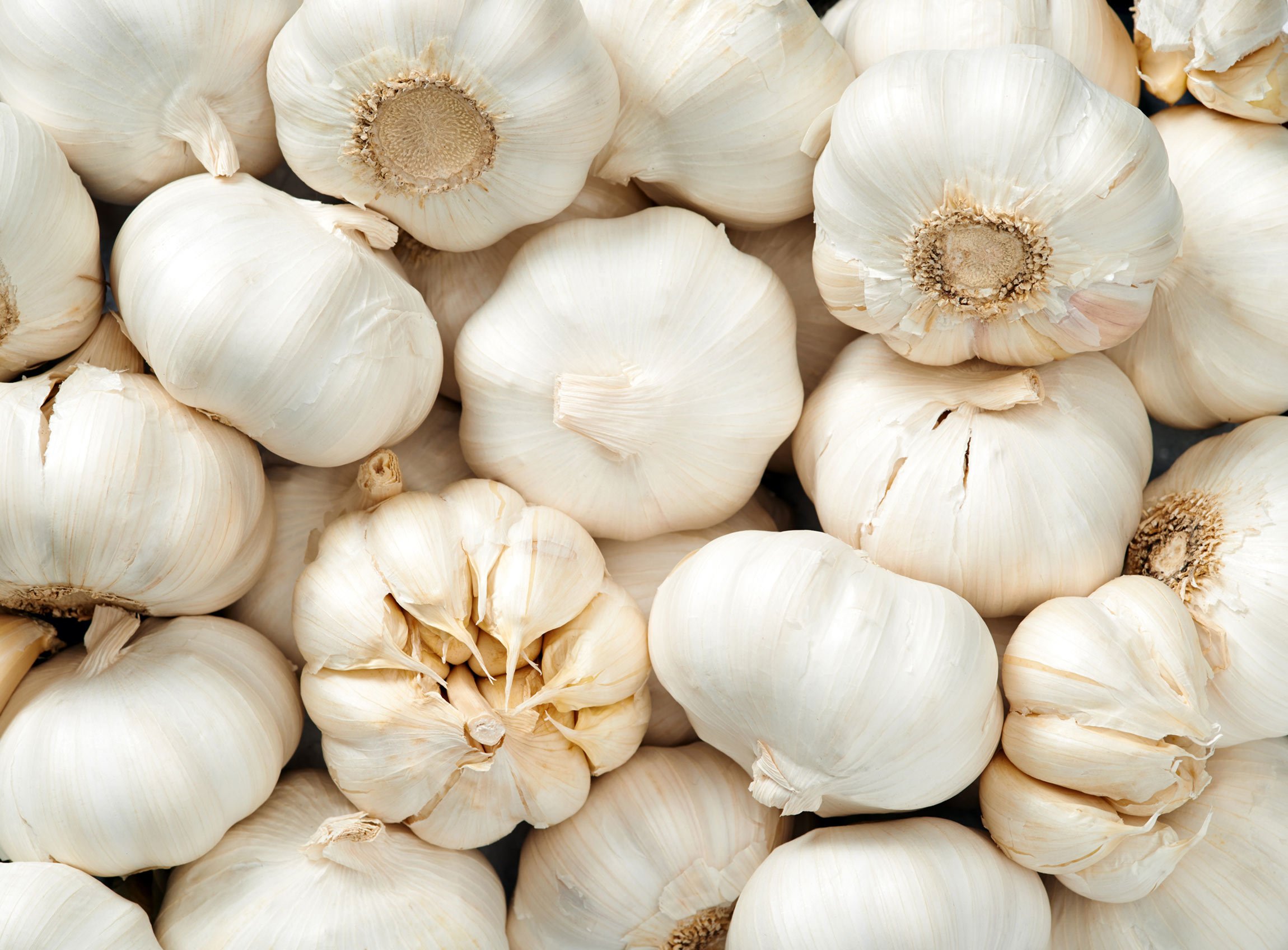 Diet for immunity: garlic