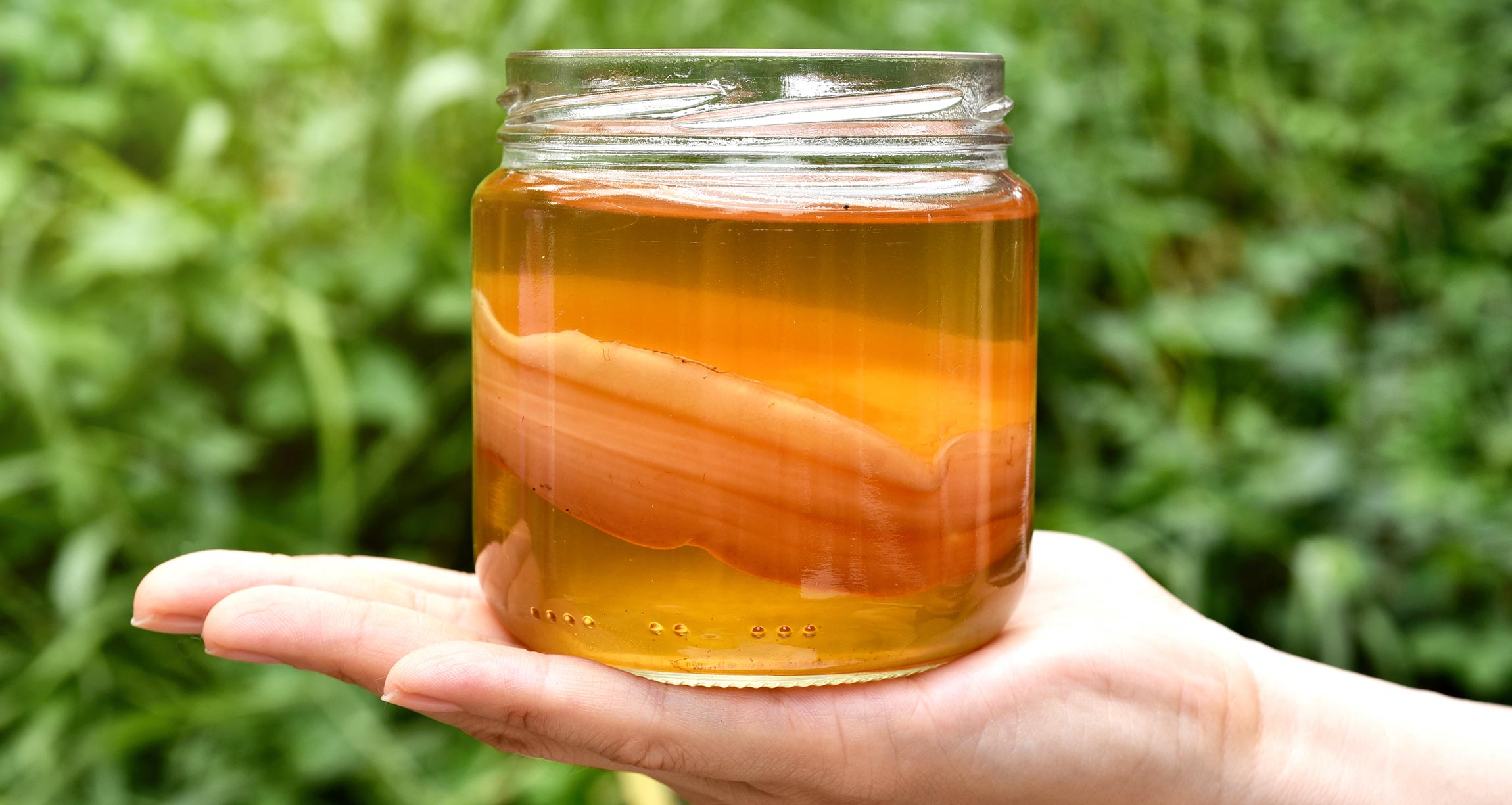 hand holding jar of kombucha