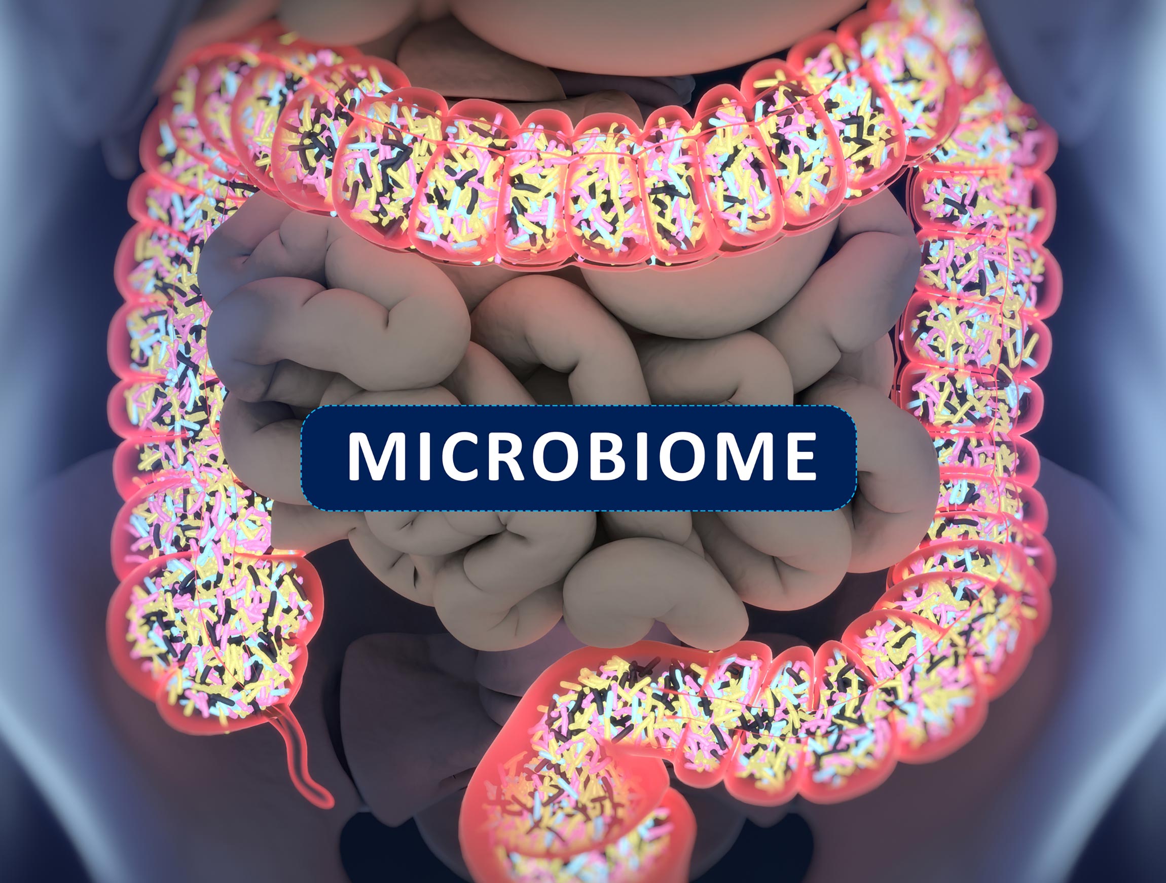 graphical depiction of intestines with the word microbiome