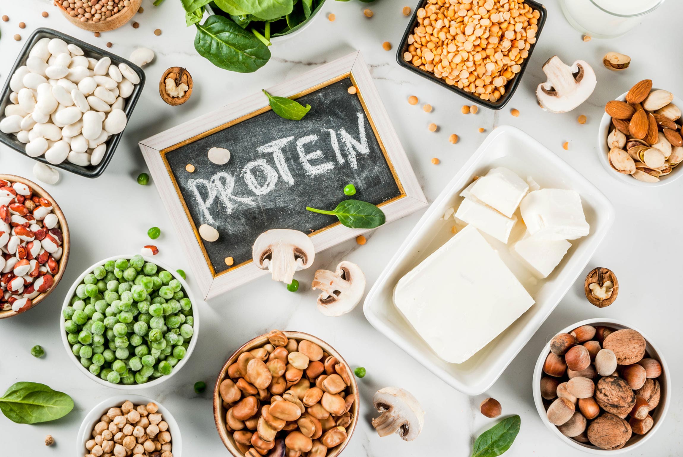 plant-based protein foods