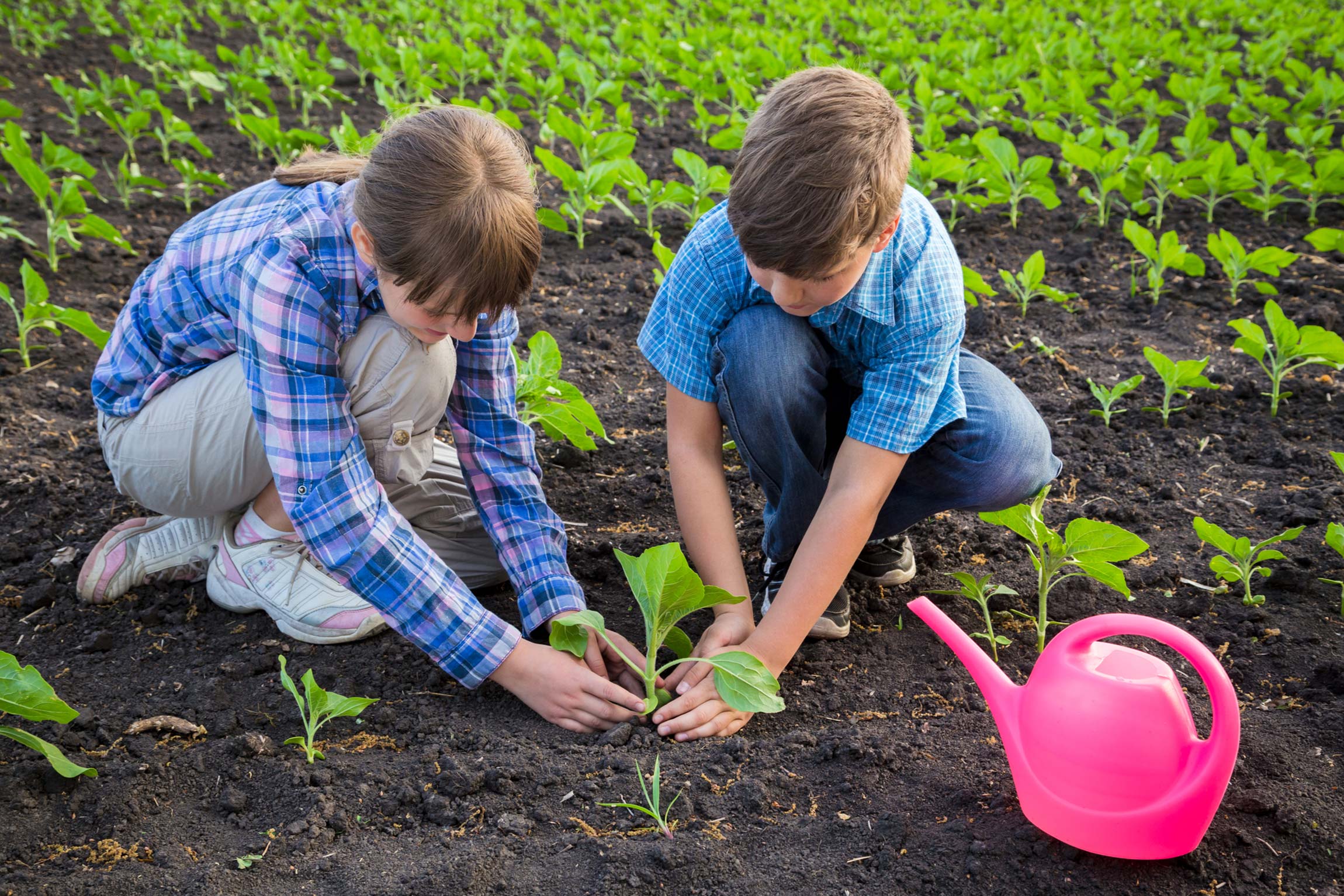 kids gardening