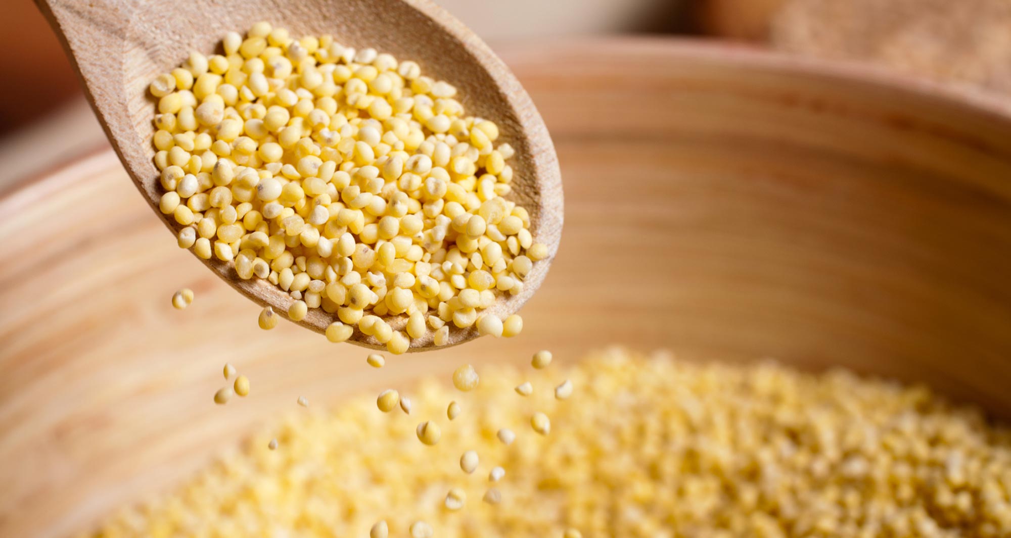 closeup spoonful of millet