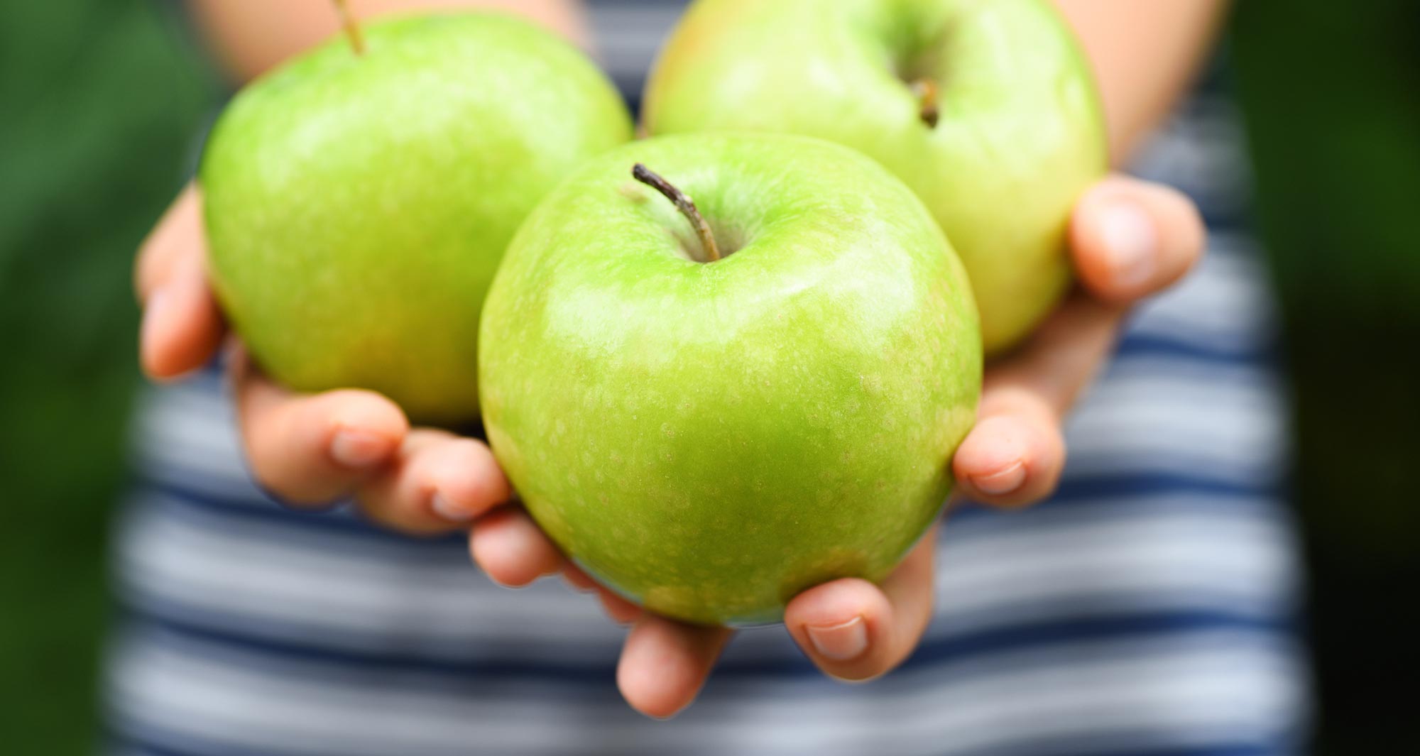 un puñado de manzanas verdes