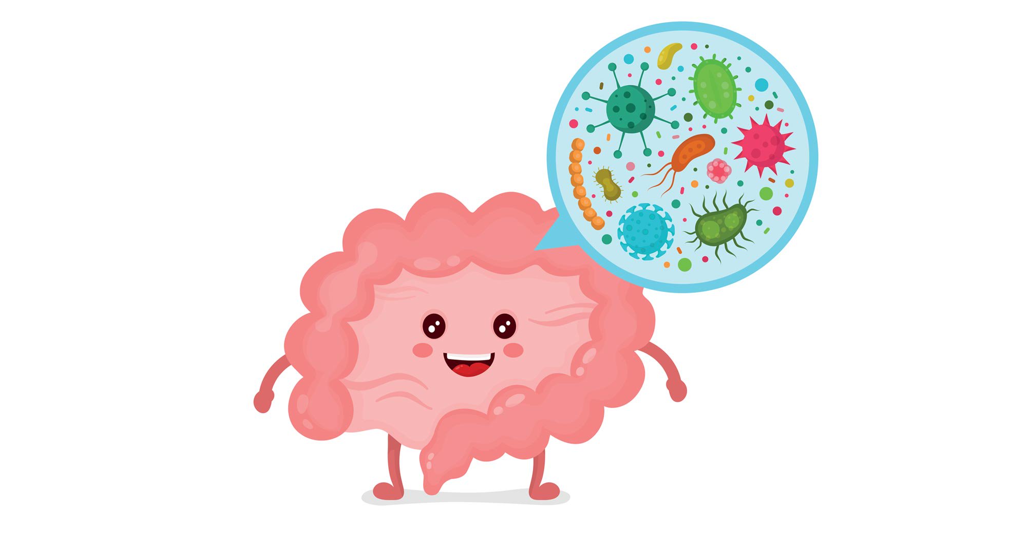 estómago animado con burbuja de pensamiento de microorganismos