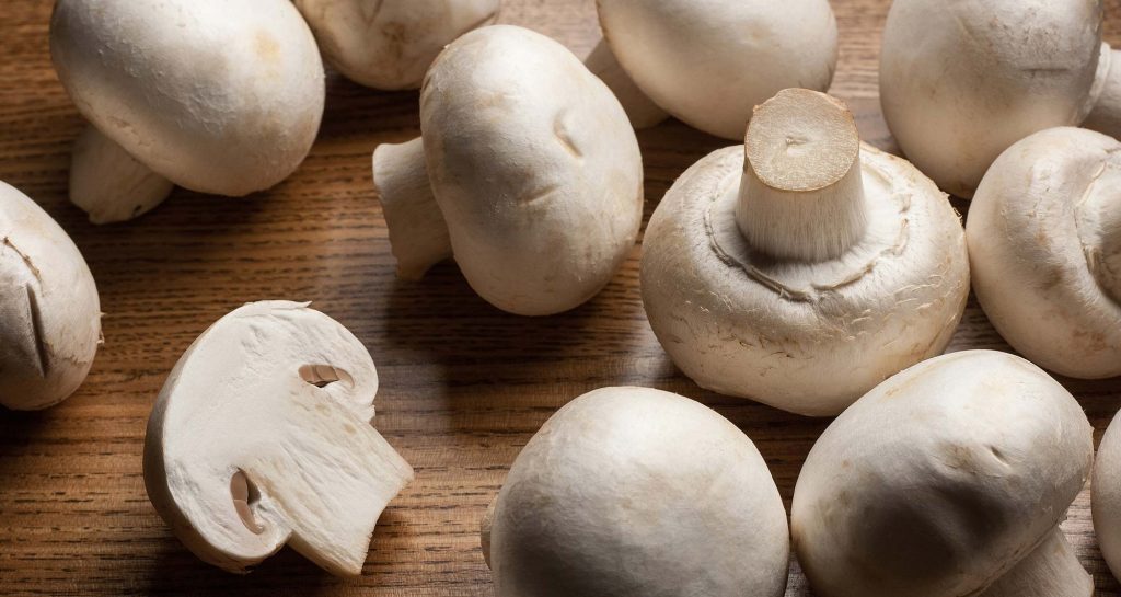 mushrooms on a table
