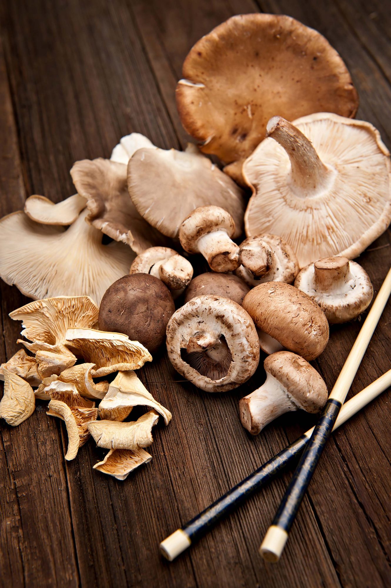 Mushrooms for Cancer: Fight & Prevent Cancer with Mushrooms