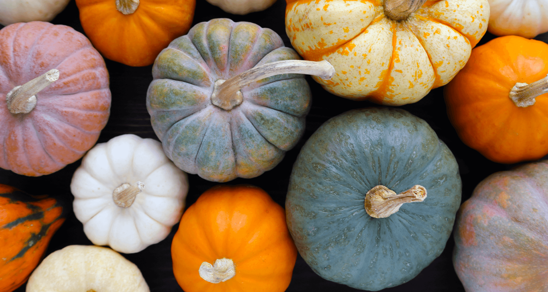 9 Health Benefits of Pumpkins (+ 9 Recipes to Try Out Anytime of Year)