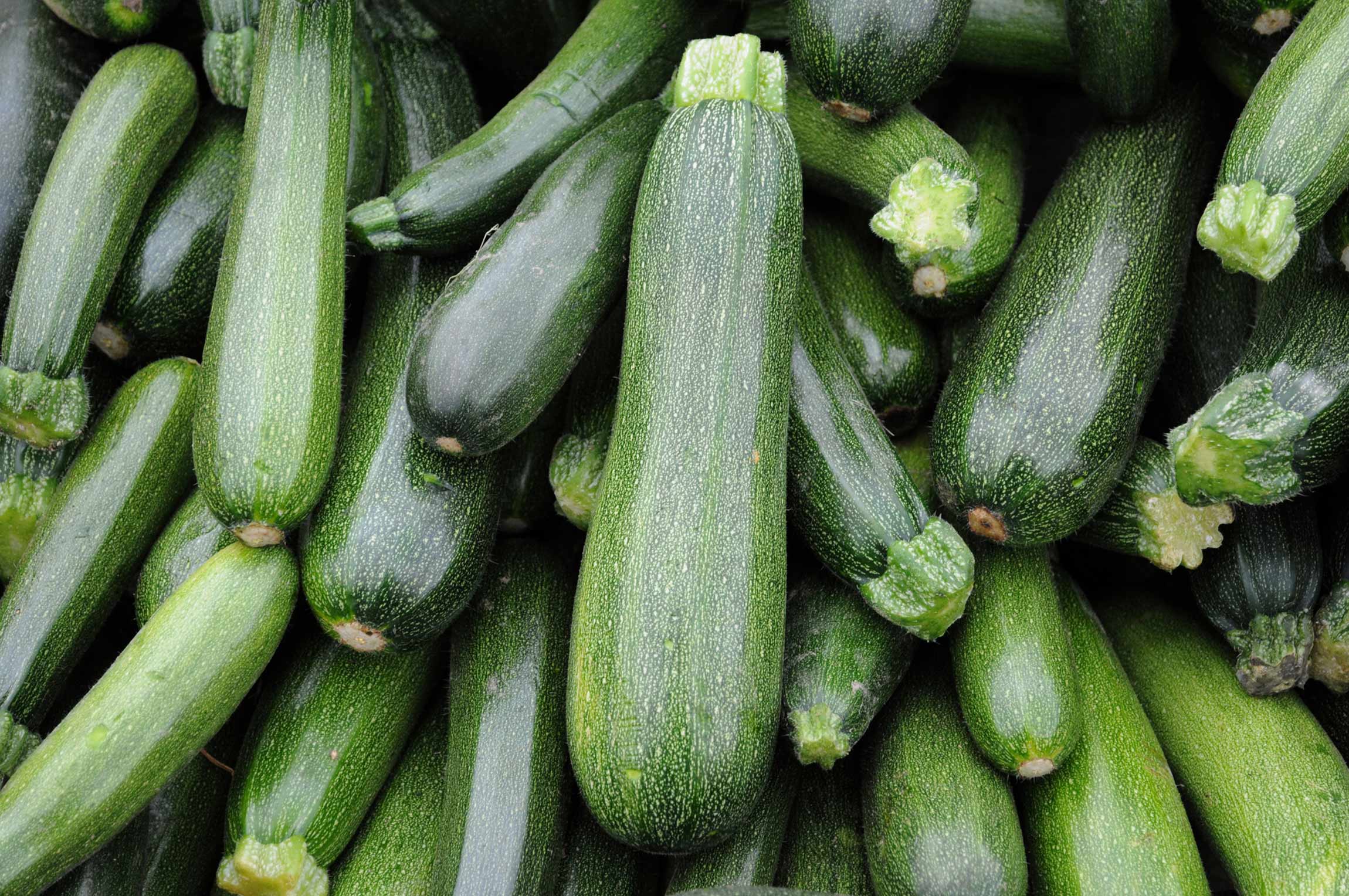 Mood-Boosting Foods: Zucchini