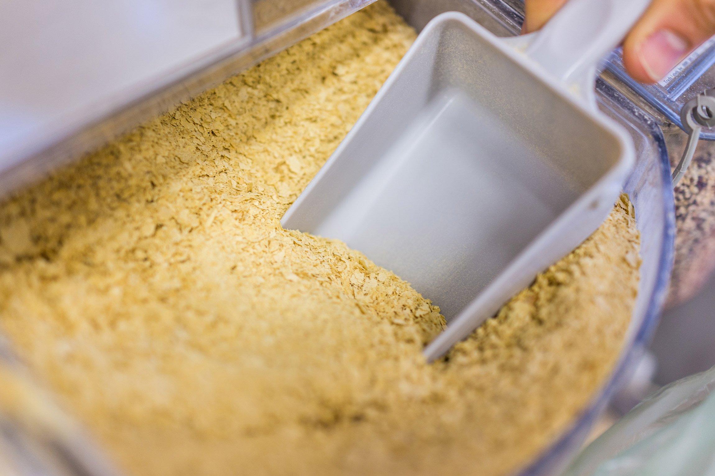 What is nutritional yeast?