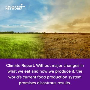 Climate Change Solutions: 5 Things We Must Do Now