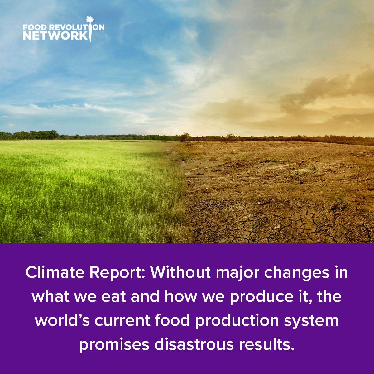 Climate Report: Without major changes in what we eat and how we produce it, the world's current food production system promises disastrous results.