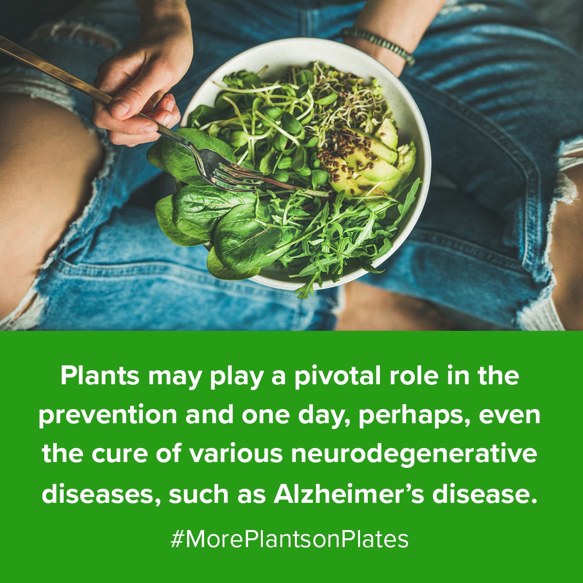 Plants may play a pivotal role in the prevention and one day, perhaps, even the cure of various neurodegenerative diseases, such as Alzheimer’s disease. #MorePlantsonPlates