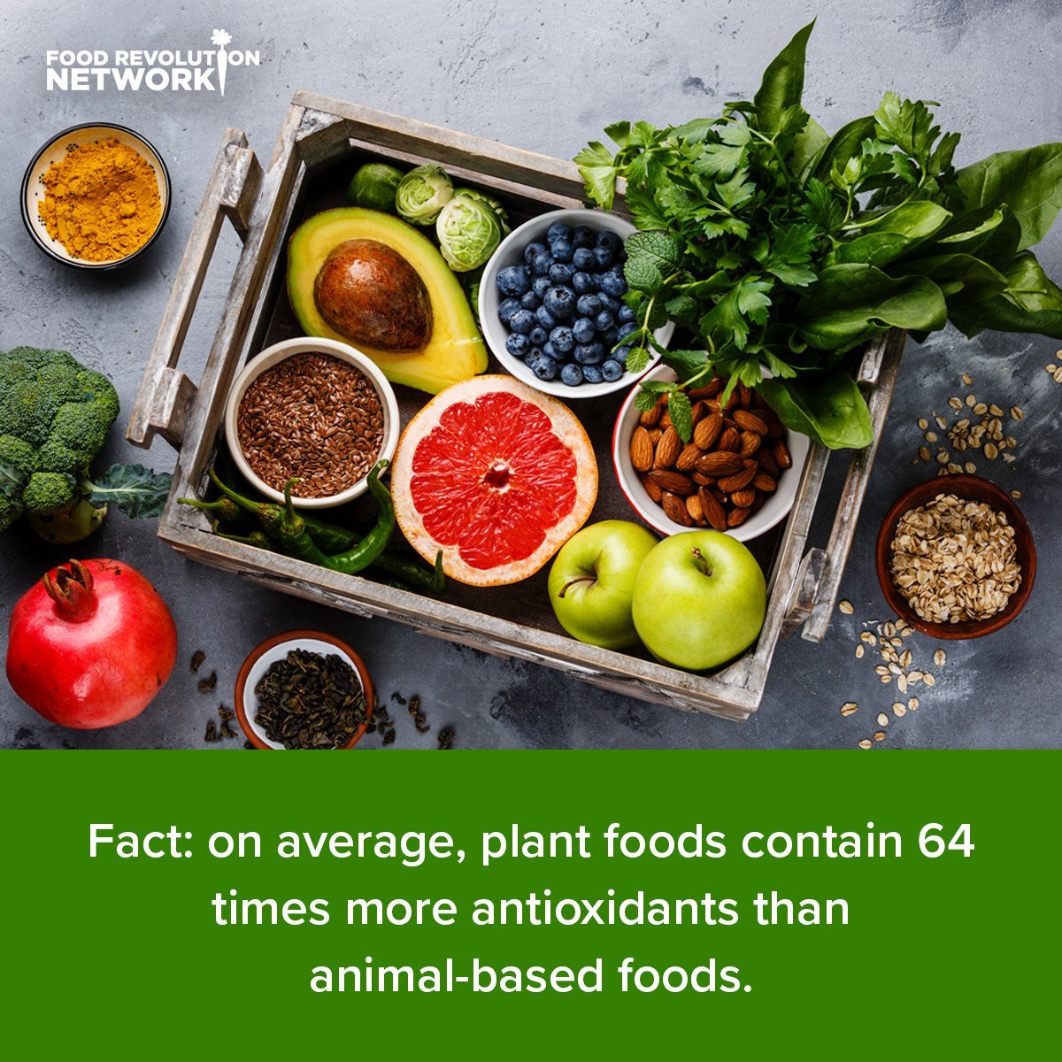 Fact: on average, plant foods contain 64 times more antioxidants than animal-based foods.