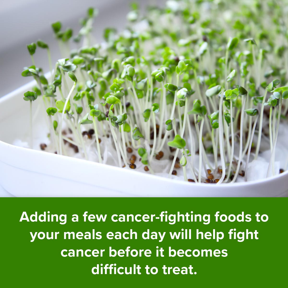 Angiogenesis Food Chart