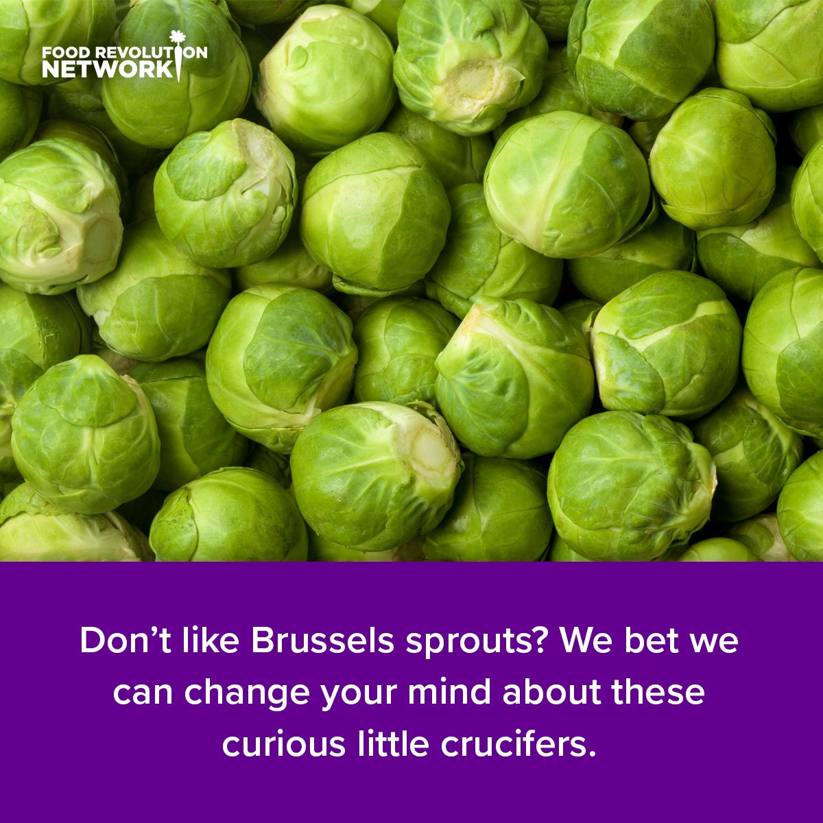 Don't like Brussels sprouts? We bet we can change your mind about these curious little crucifers.