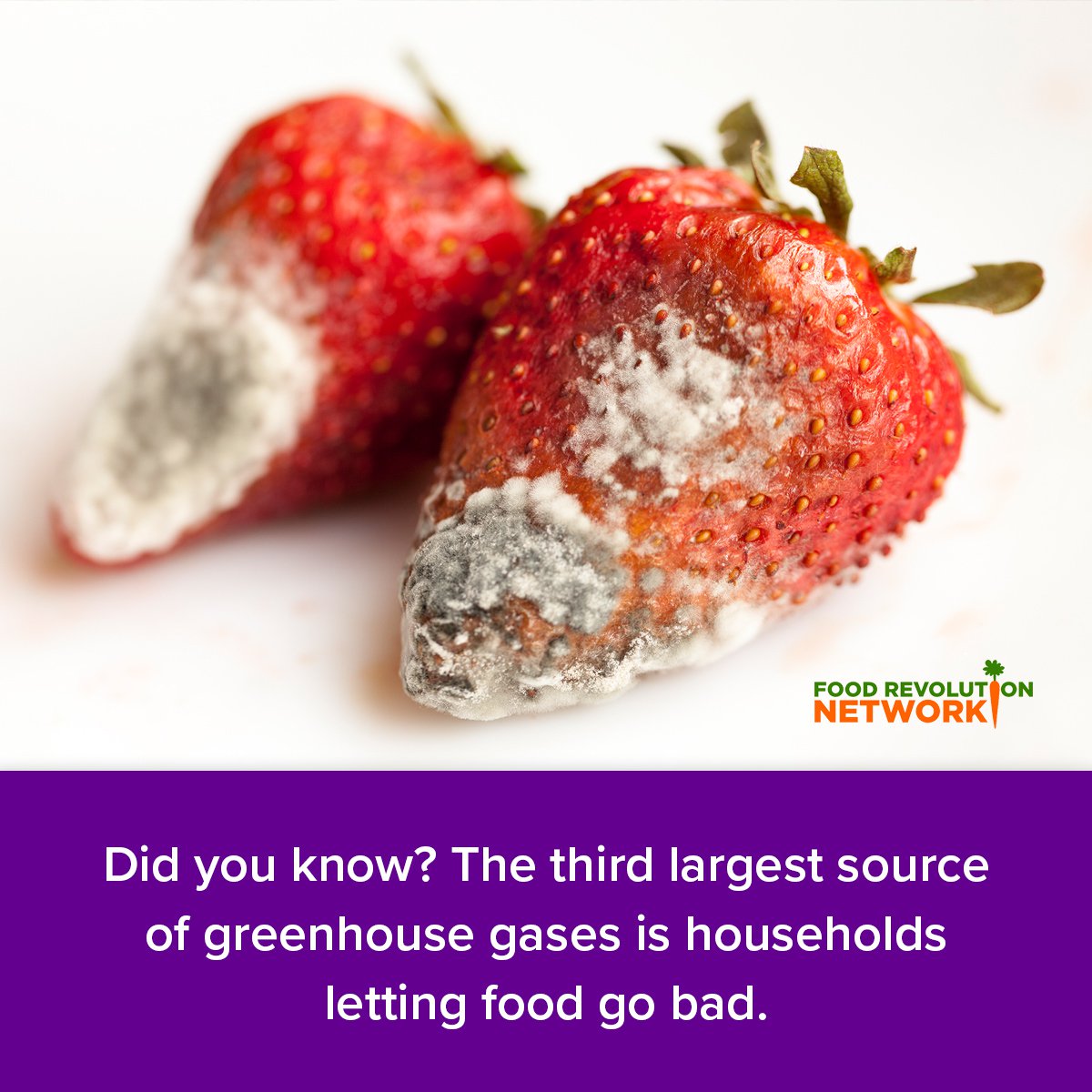 Did you know? The third largest source of greenhouse gases is households letting food go bad.