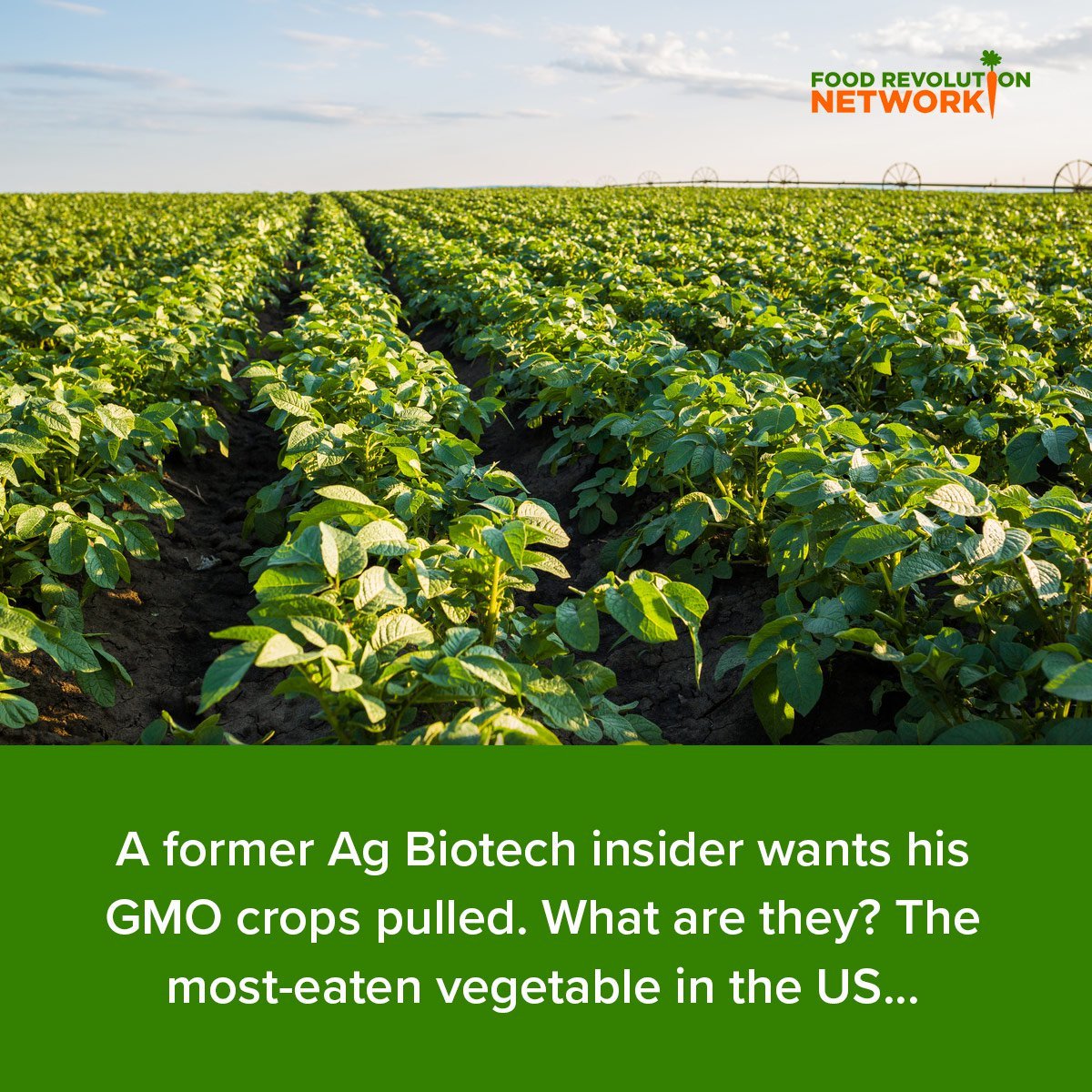 A former Ag Biotech insider wants his GMO crops pulled. What are they? The most-eaten vegetable in the US...