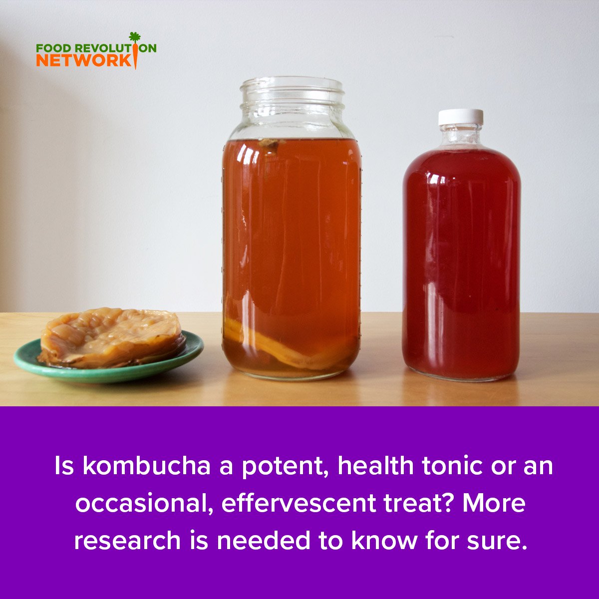 does synergy kombucha have alcohol