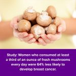 Mushrooms For Cancer Fight Prevent Cancer With Mushrooms   Blog Share Images Mushrooms 20180515 150x150 