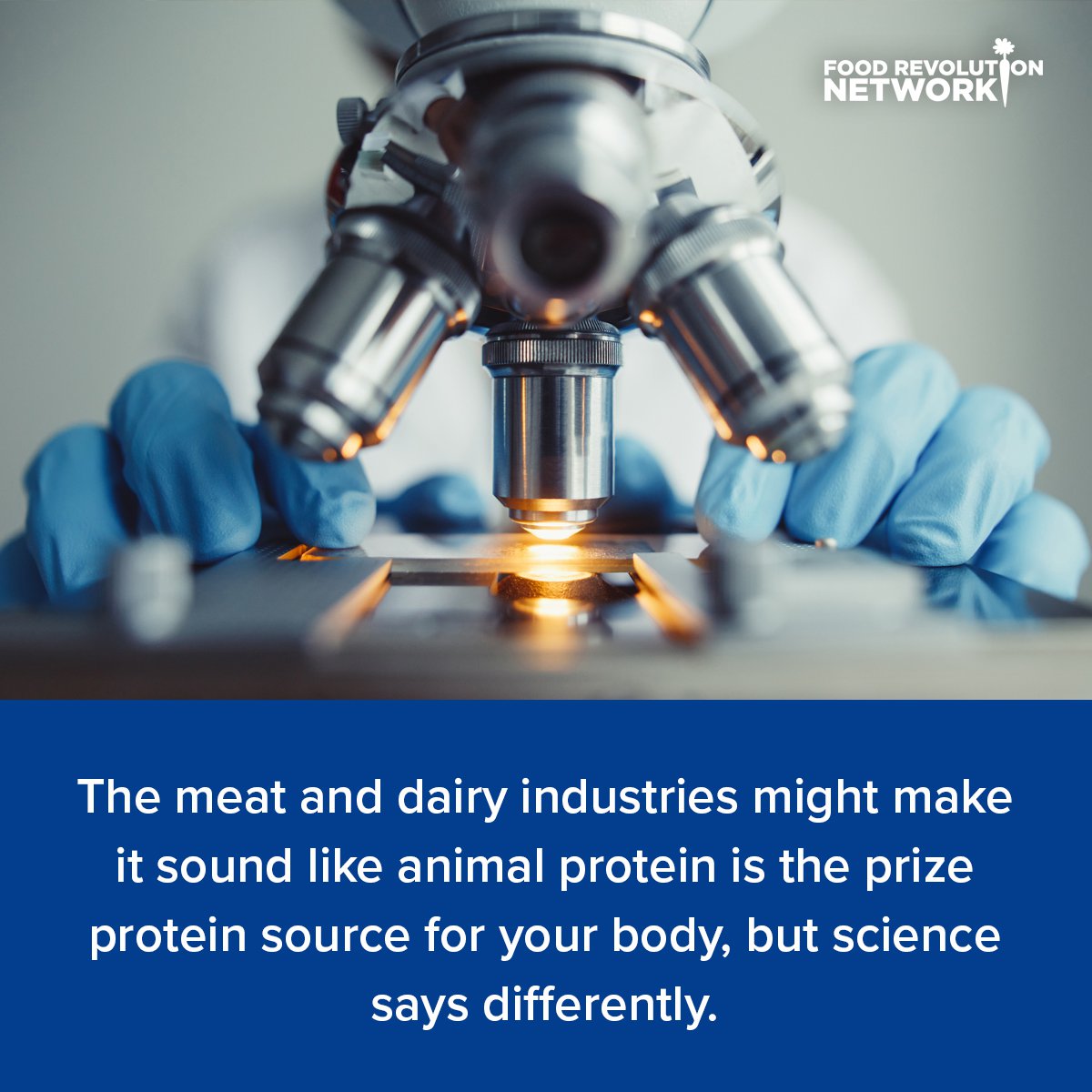 The meat and dairy industries might make it sound like animal protein is the prize protein source for your body, but science says differently.