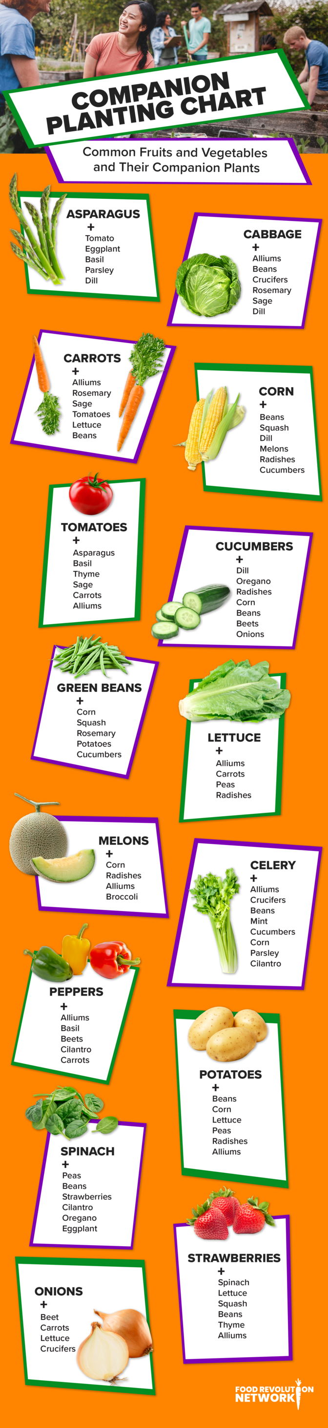 Companion Planting Chart: Common Fruits and Vegetables and the Companion Plants That Benefit Them