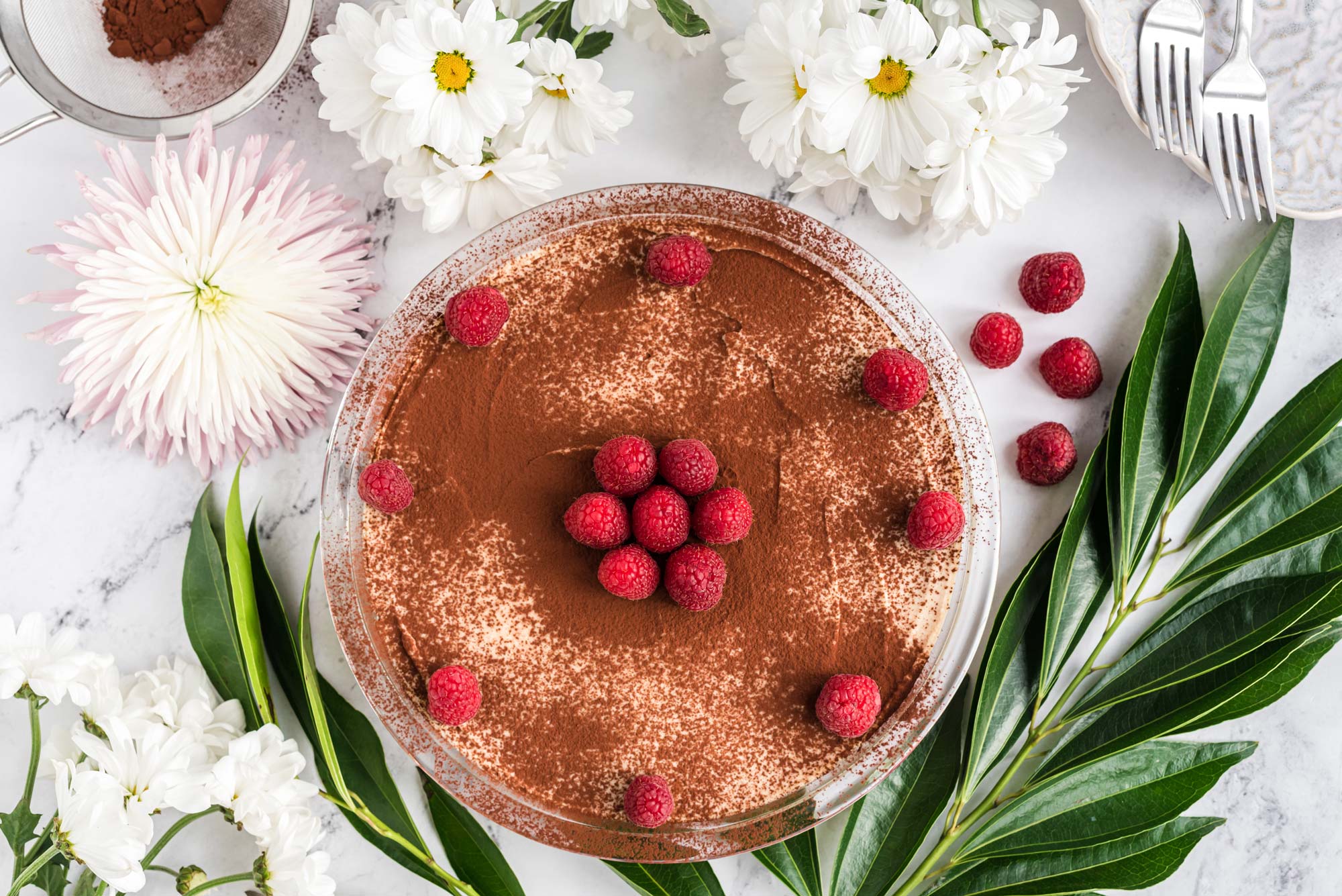 chocolate dusted cheesecake on plate