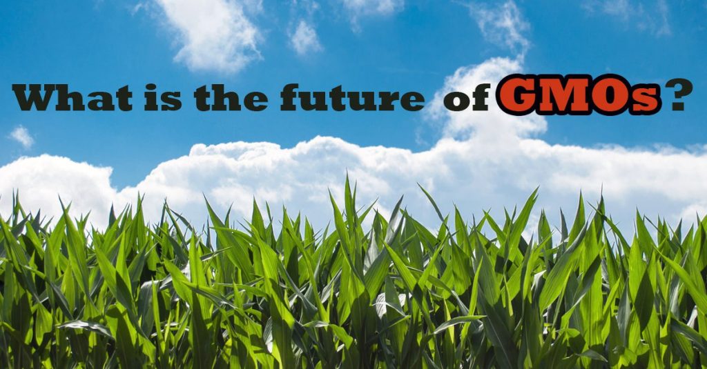 What is the future of genetically engineered crops?