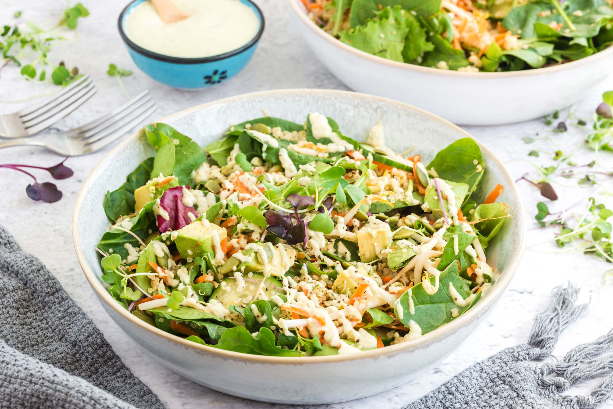 grain and sprout bowl with sauce