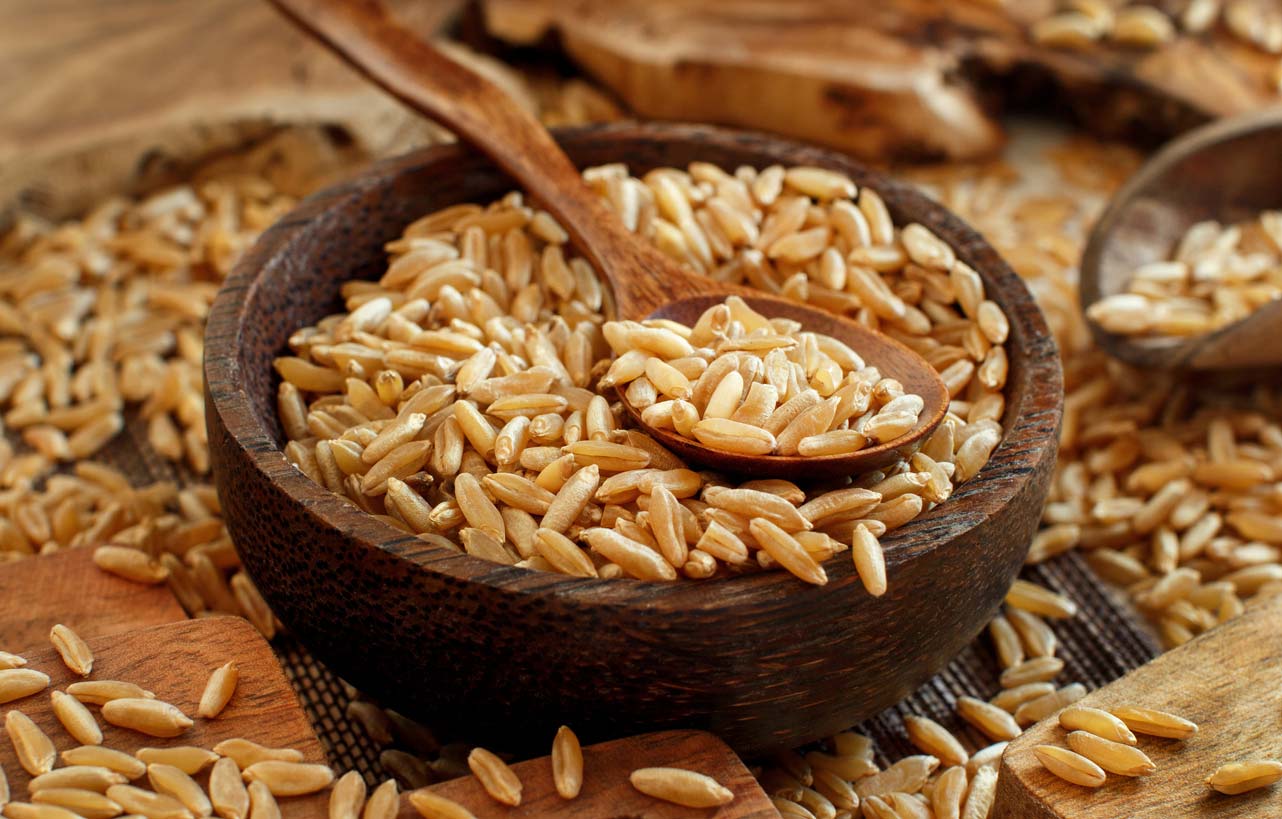 Ancient grains (kamut) in a bowl