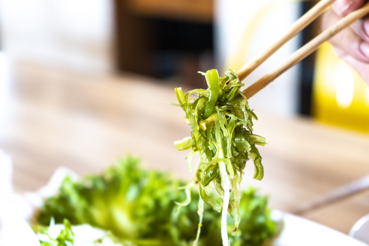 Japanese seaweed salad in chopstick  on hand 's man ready to eat.