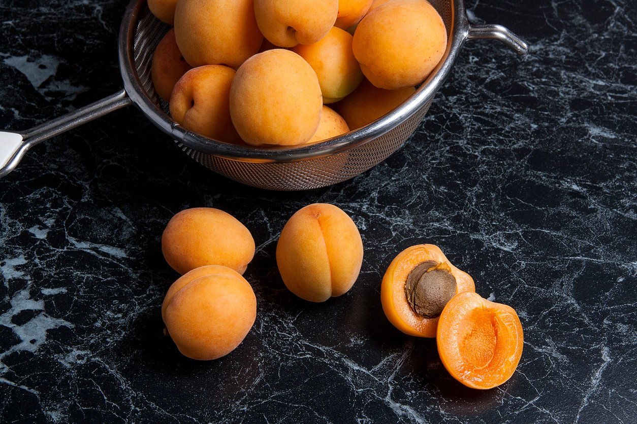 Ripe organic apricots in steel colander. Composition in rustic style - organic yellow juicy apricots in steel colander and whole and halved apricots on dark marble background. Healthy food concept. Harvest time.