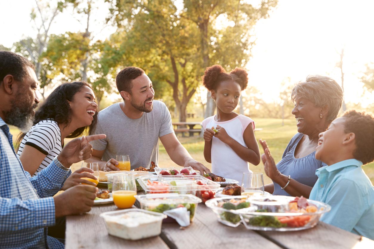 family picnic in park