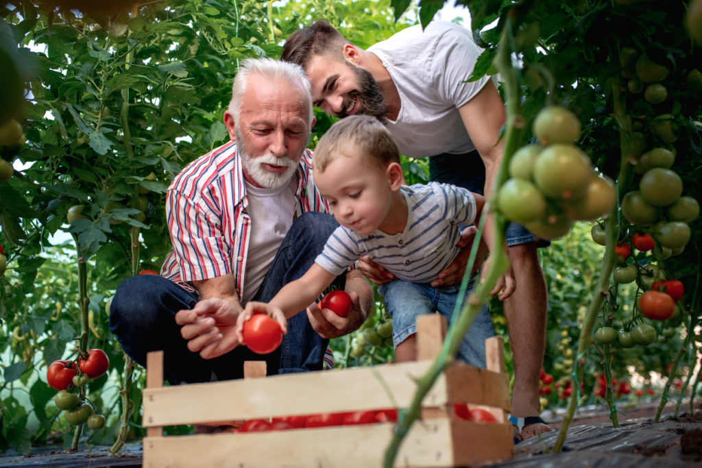 Why Is Gardening Good for You? The Benefits of Growing Food | Food ...