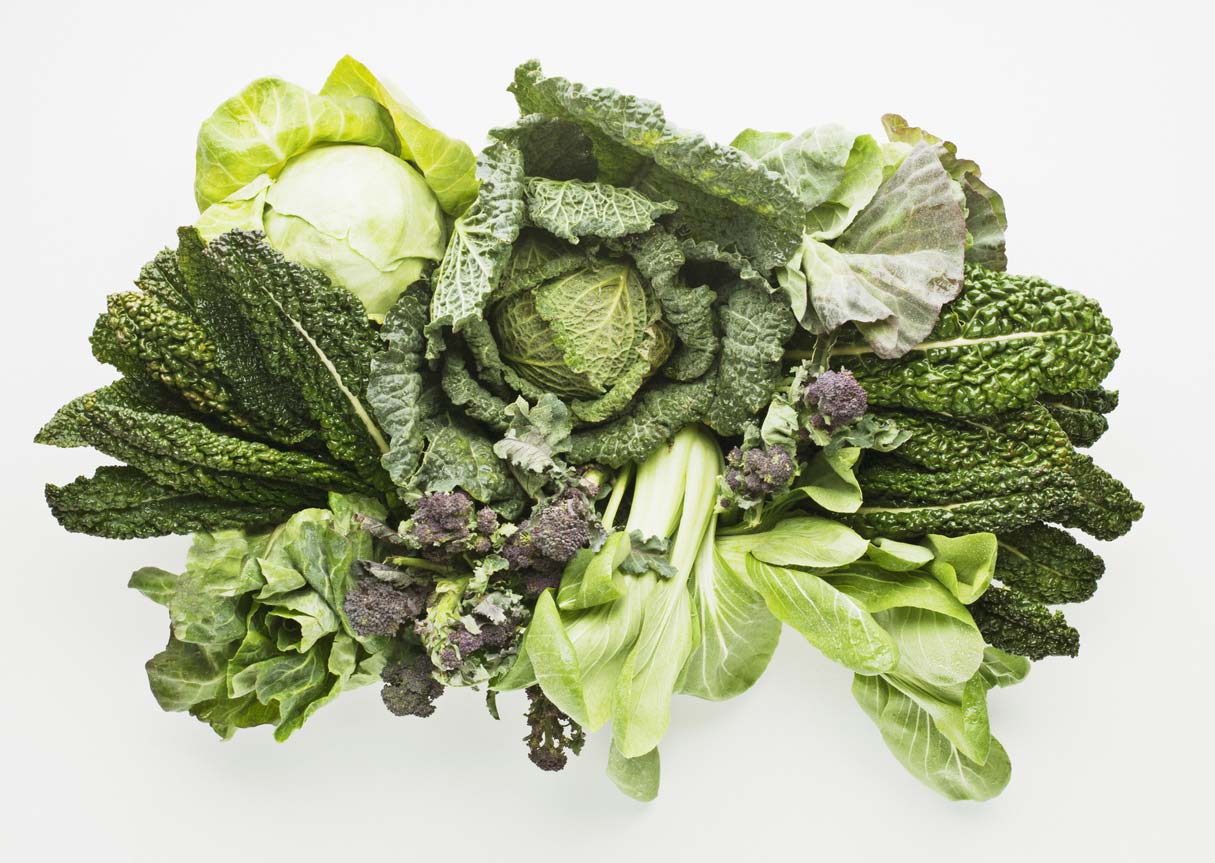 Types of different leafy greens