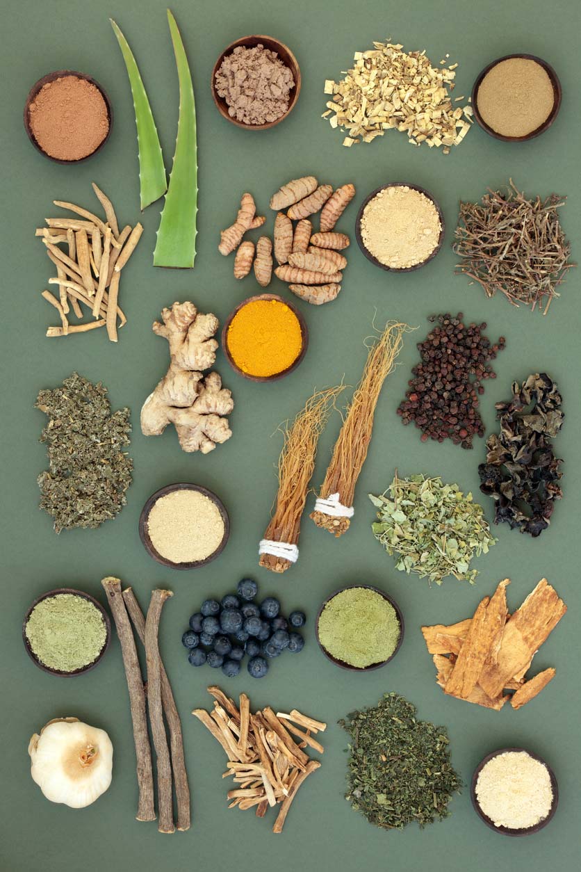 adaptogen types