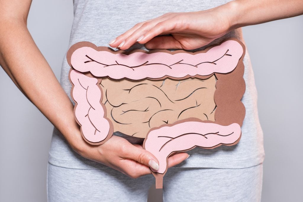 Woman holding a paper cutout of the intestines