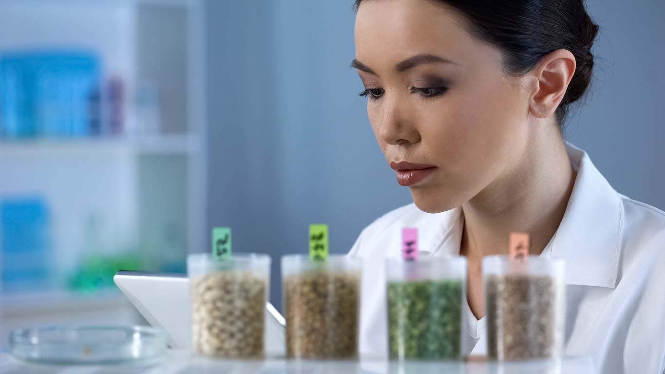 biologist making notes while inspecting legumes and grains