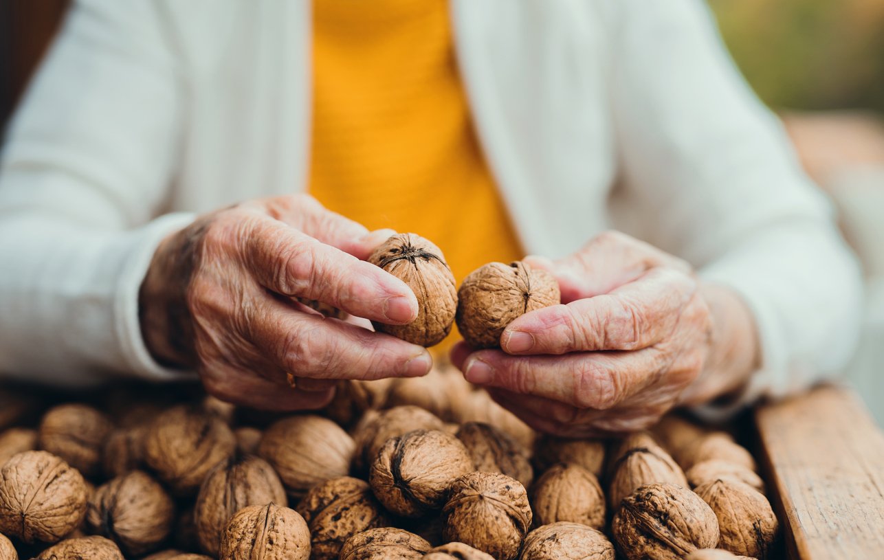 An elderly woman outdoors on a terrace on a sunny day in autumn, holding walnuts.