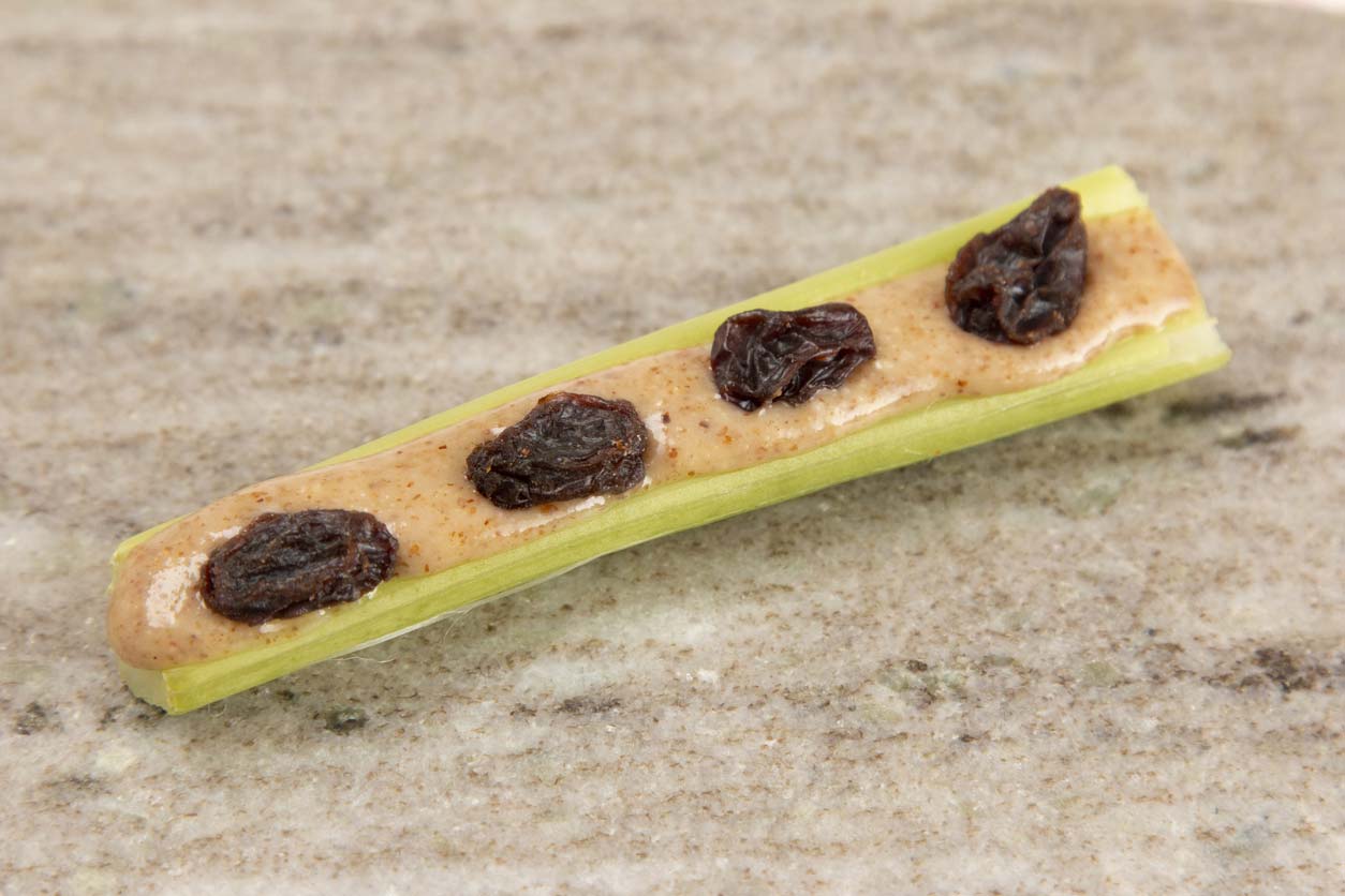 ants on a log snack