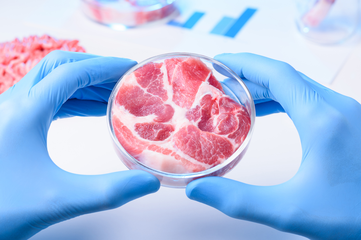 Raw meat sample in laboratory Petri dish. Cultured lab grown meat or meat examination concept.